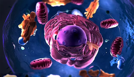 اكتشاف فيروسات ضخمة عمرها 1.5 مليار عام.. والعلماء يطمئنون صورة رقم 5