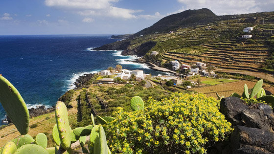 بالصور: جزر إيطالية توفر للأزواج فرصة لقضاء عطلة صيفية رومانسية صورة رقم 4